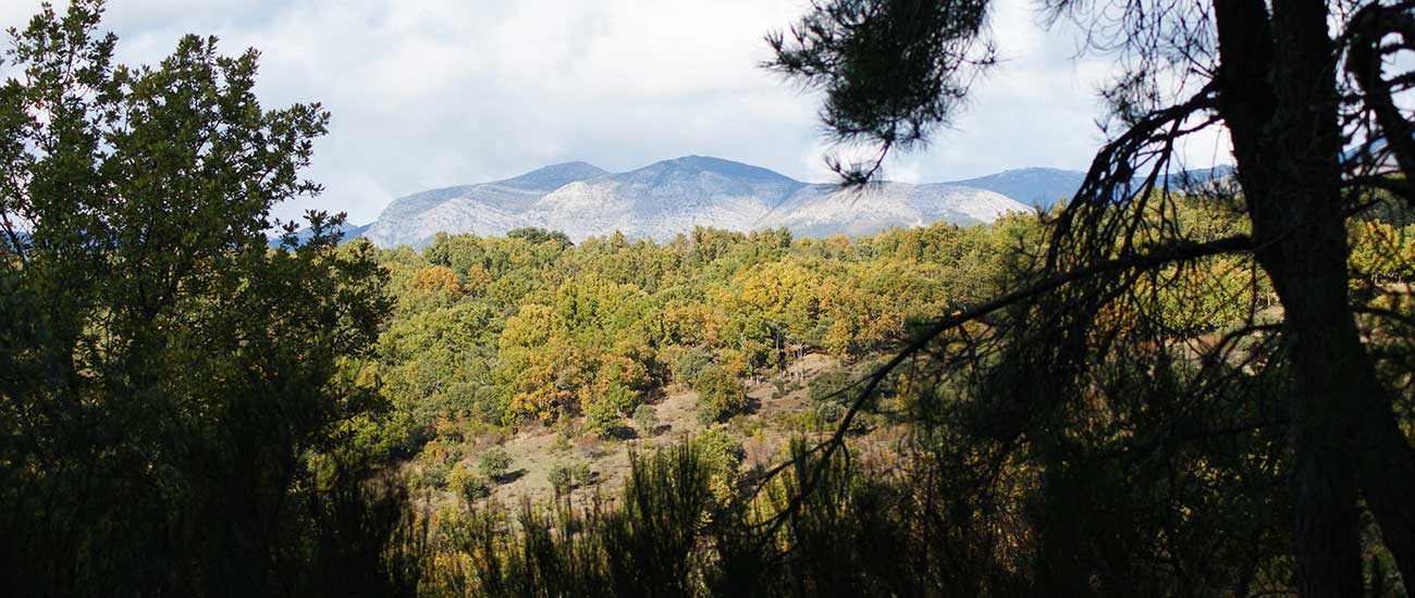 Paisaje montañoso callejo de Ordás