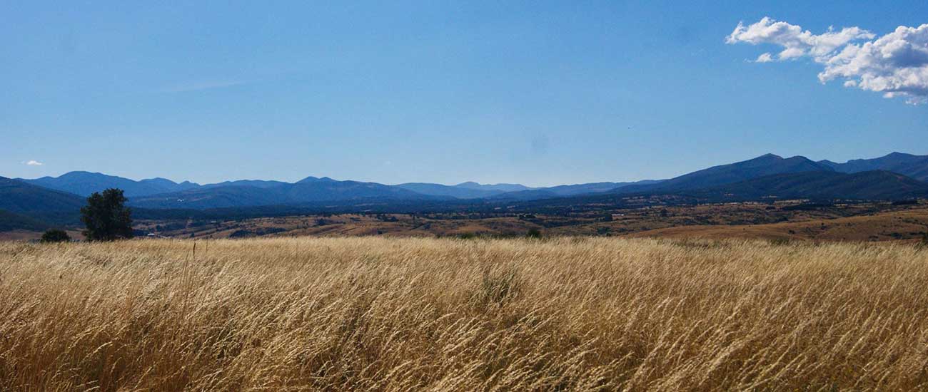 Valle Soto y Amío